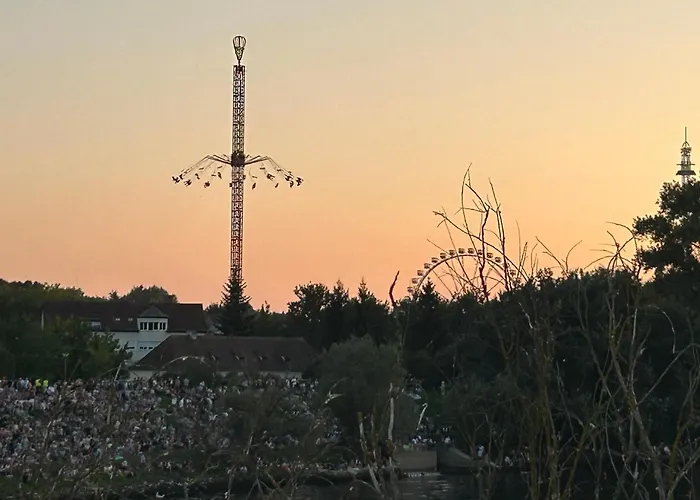 Falter Straubing