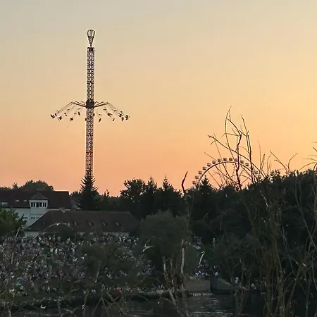 Falter Straubing