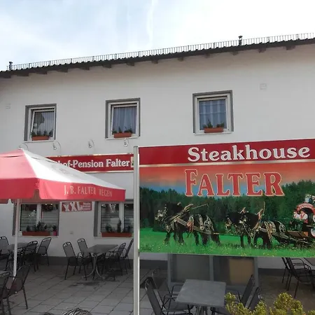 Falter 3* Straubing